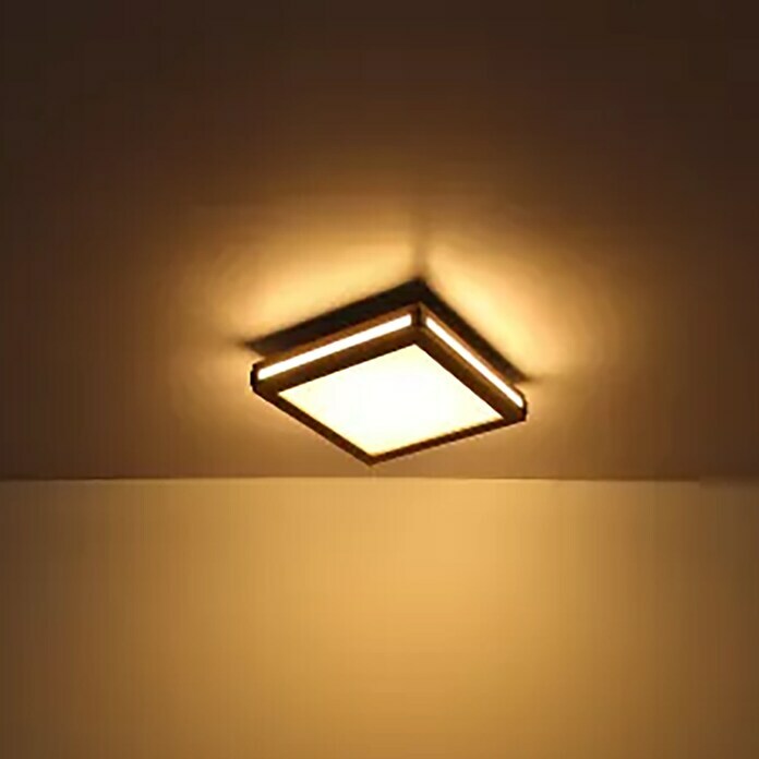 Globo Plafón LED Carla (12 W, Blanco cálido, Marrón, L x An x Al: 30 x 30 x 7,5 cm) | BAUHAUS
