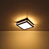 Globo Plafón LED Carla (12 W, Blanco cálido, Marrón, L x An x Al: 30 x 30 x 7,5 cm) | BAUHAUS