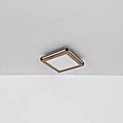 Globo Plafón LED Carla (12 W, Blanco cálido, Marrón, L x An x Al: 30 x 30 x 7,5 cm) | BAUHAUS
