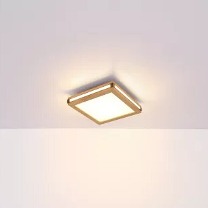 Globo Plafón LED Carla (12 W, Blanco cálido, Marrón, L x An x Al: 30 x 30 x 7,5 cm) | BAUHAUS