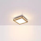 Globo Plafón LED Carla (12 W, Blanco cálido, Marrón, L x An x Al: 30 x 30 x 7,5 cm) | BAUHAUS
