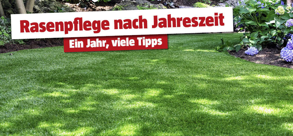 Pflege Rasenjahr