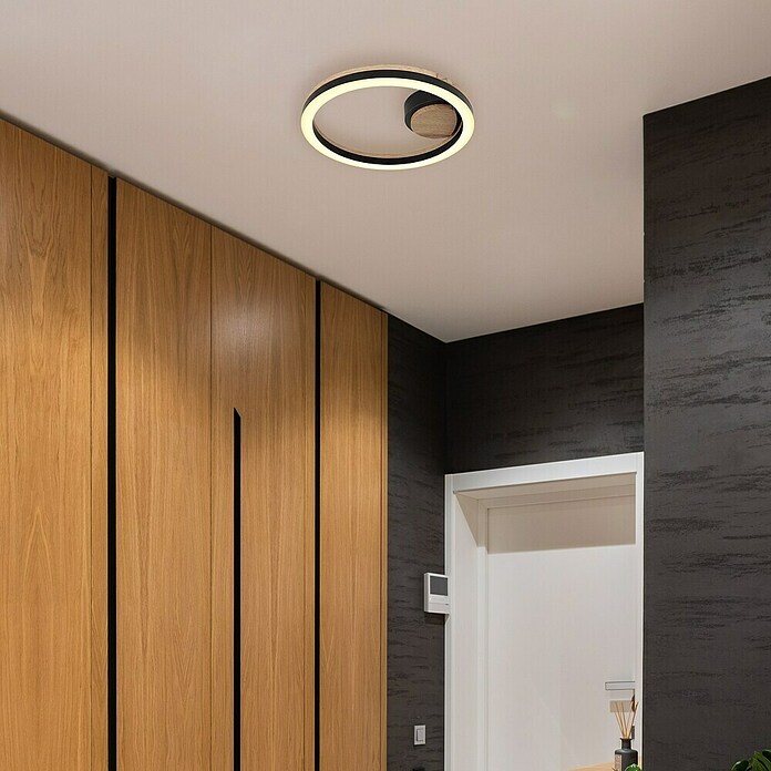 Globo LED stropna svjetiljka Beatrix  (12 W, Topla bijela, Crna, Ø x V: 300 x 58 mm) | BAUHAUS