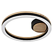 Globo LED stropna svjetiljka Beatrix  (12 W, Topla bijela, Crna, Ø x V: 300 x 58 mm) | BAUHAUS