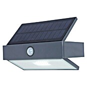 Lutec Aplique solar para exterior Arrow LED (Detector de movimiento, Blanco frío, IP44)