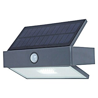 Lutec Solarna vanjska zidna svjetiljka (Senzor pokreta, Hladna bijela, IP44)