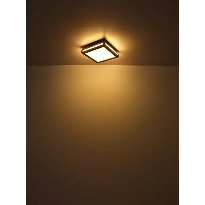 Globo LED-Deckenleuchte Carla (20 W, Warmweiß, Holzoptik, L x B x H: 45 x 45 x 7,5 cm) | BAUHAUS