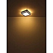 Globo LED-Deckenleuchte Carla (20 W, Warmweiß, Holzoptik, L x B x H: 45 x 45 x 7,5 cm) | BAUHAUS