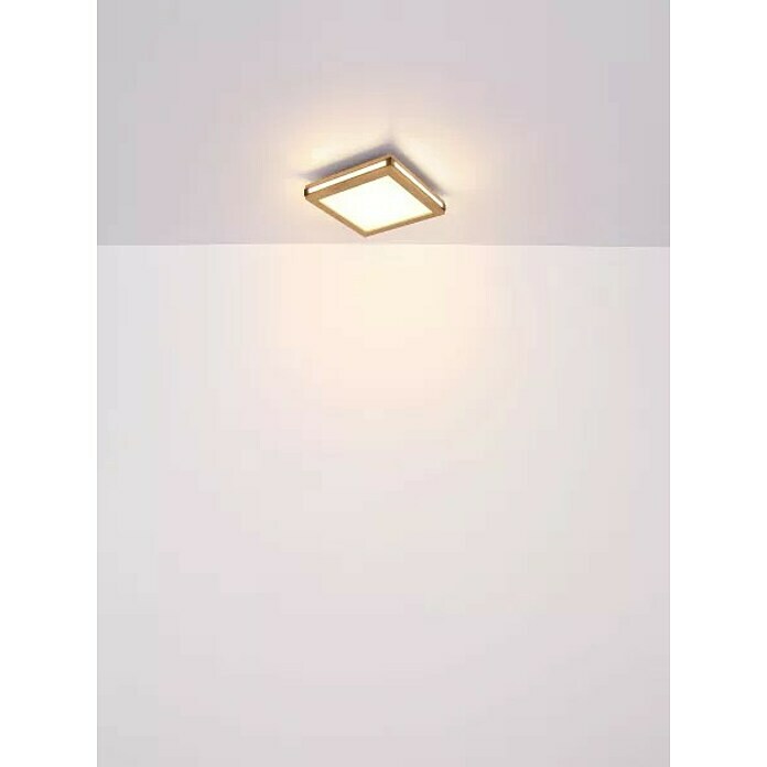 Globo LED-Deckenleuchte Carla (20 W, Warmweiß, Holzoptik, L x B x H: 45 x 45 x 7,5 cm) | BAUHAUS