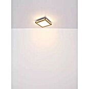 Globo LED-Deckenleuchte Carla (20 W, Warmweiß, Holzoptik, L x B x H: 45 x 45 x 7,5 cm) | BAUHAUS