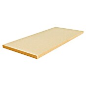 Steico Holzfaserdämmplatte therm dry (1 350 x 600 x 60 mm, Wärmeleitfähigkeit: 0,037 W/(mK)) | BAUHAUS