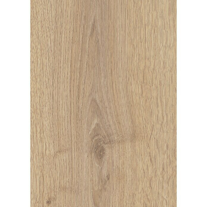 LOGOCLIC Ambienta Laminat Honig Eiche (Honig Eiche, Landhausdiele, 1 288 x 195 x 10 mm) | BAUHAUS