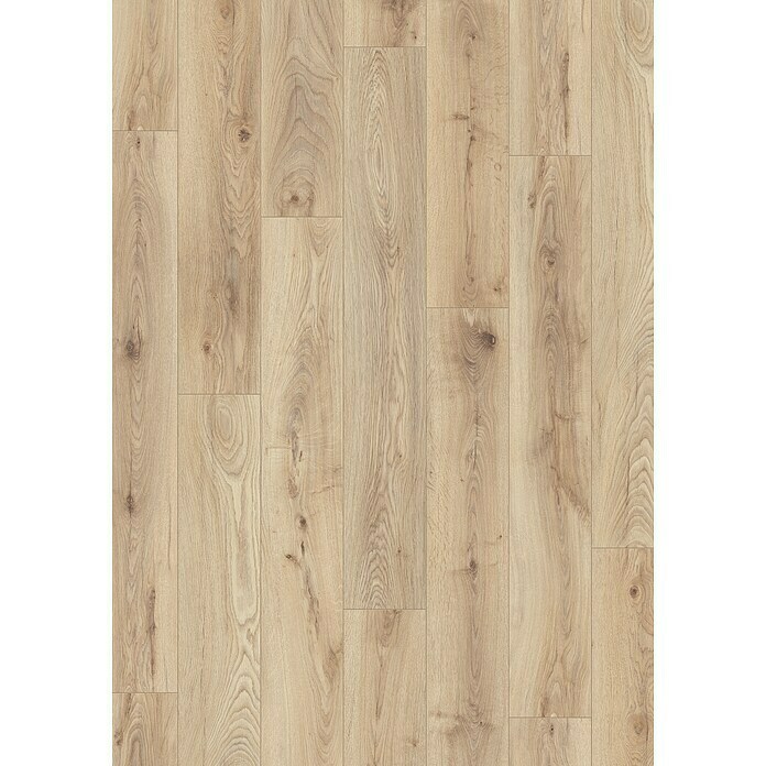LOGOCLIC Ambienta Laminat Honig Eiche (Honig Eiche, Landhausdiele, 1 288 x 195 x 10 mm) | BAUHAUS
