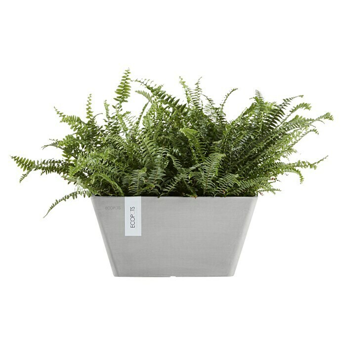 Ecopots Berlin Pflanzschale eckig (Außenmaß (L x B x H): 41 x 41 x 18 cm, Kunststoff, Weiß Grau) | BAUHAUS