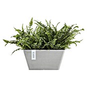 Ecopots Berlin Pflanzschale eckig (Außenmaß (L x B x H): 41 x 41 x 18 cm, Kunststoff, Weiß Grau) | BAUHAUS