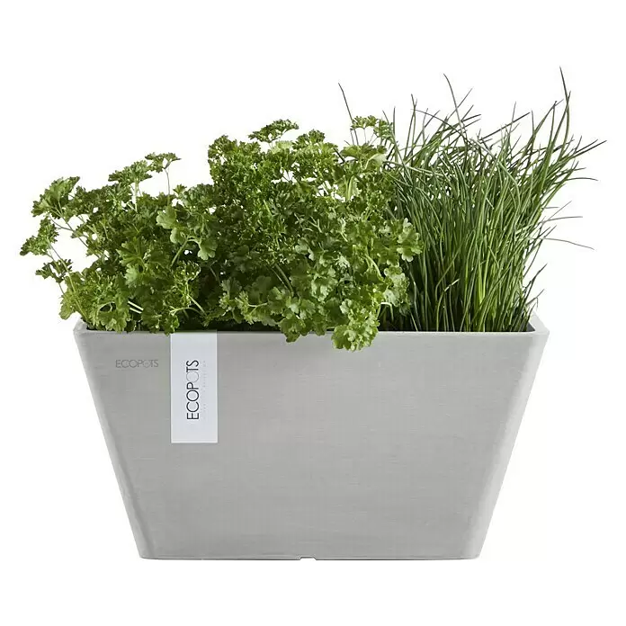 Ecopots Berlin Pflanzschale eckig - Außenmaß (L x B x H): 41 x 41 x 18 cm, Kunststoff, Weiß Grau - Hellgrauer ECOPOTS Pflanztopf mit frischer Petersilie und Schnittlauch.