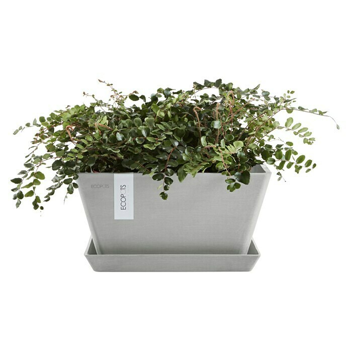 Ecopots Berlin Pflanzschale eckig (Außenmaß (L x B x H): 41 x 41 x 18 cm, Kunststoff, Weiß Grau) | BAUHAUS