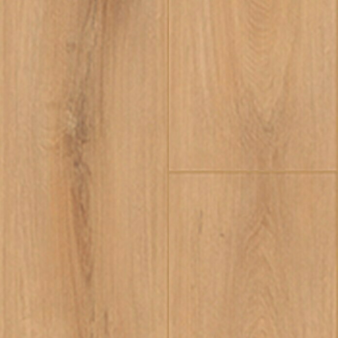 Krono Original Laminat Organic Classic Golden Vista Oak (1.288 x 195 x 8 mm, Landhausdiele, Golden Vista Oak) | BAUHAUS