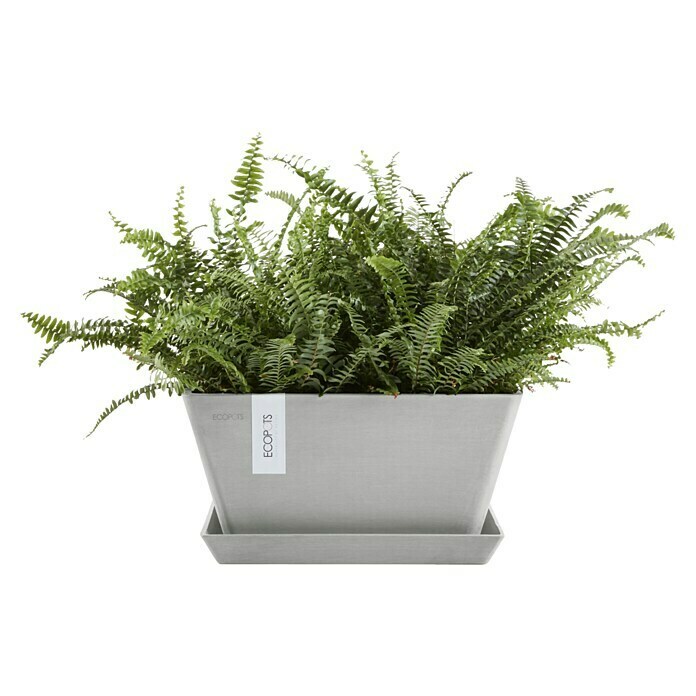 Ecopots Berlin Pflanzschale eckig (Außenmaß (L x B x H): 41 x 41 x 18 cm, Kunststoff, Weiß Grau) | BAUHAUS