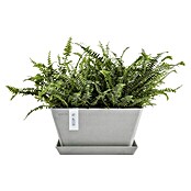 Ecopots Berlin Pflanzschale eckig (Außenmaß (L x B x H): 41 x 41 x 18 cm, Kunststoff, Weiß Grau) | BAUHAUS