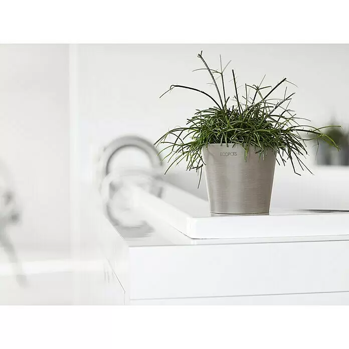 Ecopots Amsterdam Pflanztopf Mini - Außenmaß (Ø x H): 10,5 x 9,2 cm, Kunststoff, Braungrau - Ein texturierter grauer ECOPOTS Pflanztopf mit einer grünen stacheligen Pflanze.