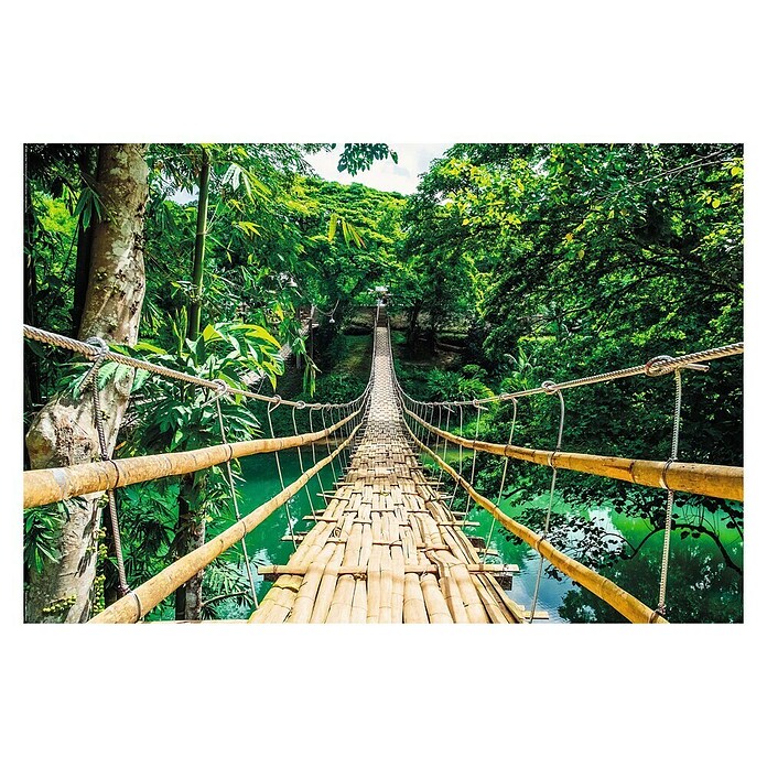 Decoratief paneel (Jungle Bridge, b x h: 60 x 90 cm) | BAUHAUS