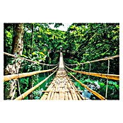 Decoratief paneel (Jungle Bridge, b x h: 60 x 90 cm) | BAUHAUS
