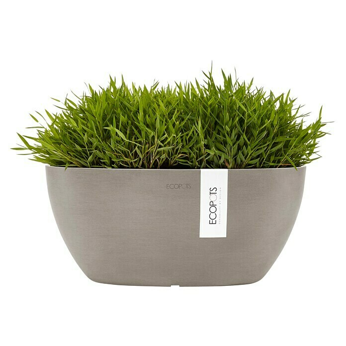 Ecopots Sofia Pflanzschale Oval (L x B x H: 30 x 13 x 13,5 cm, Braungrau) | BAUHAUS