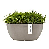 Ecopots Sofia Pflanzschale Oval (L x B x H: 30 x 13 x 13,5 cm, Braungrau) | BAUHAUS