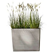 Ecopots Pflanzkasten Paris (Außenmaß (L x B x H): 85,2 x 39,5 x 65,8 cm, Kunststoff, Braungrau, Ausstattung Pflanzgefäß: Rollen) | BAUHAUS