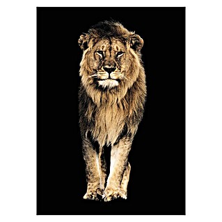 Decoratief paneel (Kings Of Nature Lion II, b x h: 100 x 140 cm)