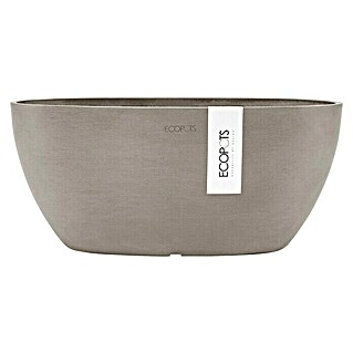 Ecopots Sofia Pflanzschale Oval (L x B x H: 30 x 13 x 13,5 cm, Braungrau)