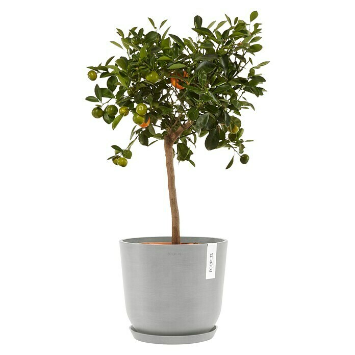 Ecopots Oslo Pflanztopf mit Wasserspeicher (Außenmaß (Ø x H): 25 x 21,4 cm, Kunststoff, Weißgrau) | BAUHAUS