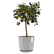 Ecopots Oslo Pflanztopf mit Wasserspeicher (Außenmaß (Ø x H): 25 x 21,4 cm, Kunststoff, Weißgrau) | BAUHAUS