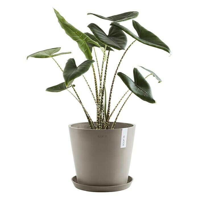 Ecopots Amsterdam Pflanzkübel rund (Außenmaß (Ø x H): 40 x 34,8 cm, Kunststoff, Braungrau, Mit Bewässerungssystem) | BAUHAUS