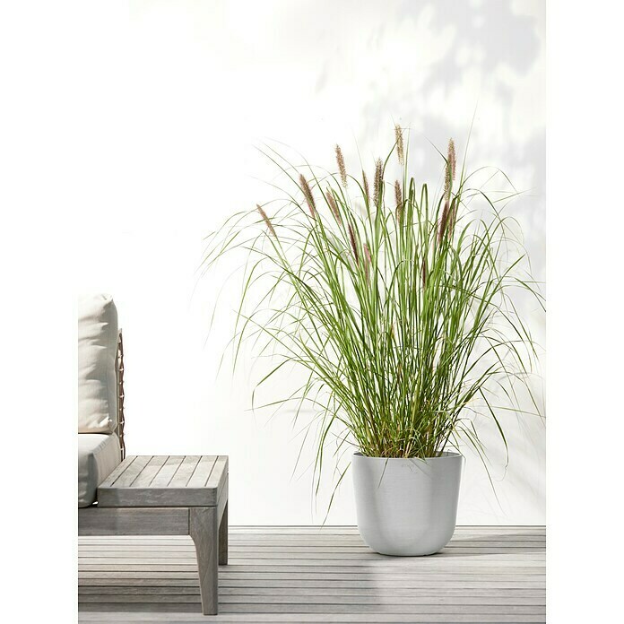 Ecopots Oslo Pflanztopf mit Wasserspeicher (Außenmaß (Ø x H): 25 x 21,4 cm, Kunststoff, Weißgrau) | BAUHAUS