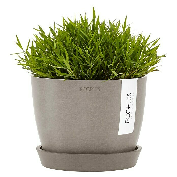 Ecopots Pflanztopf Stockholm (Außenmaß (Ø x H): 16 x 12,5 cm, Kunststoff, Braungrau) | BAUHAUS