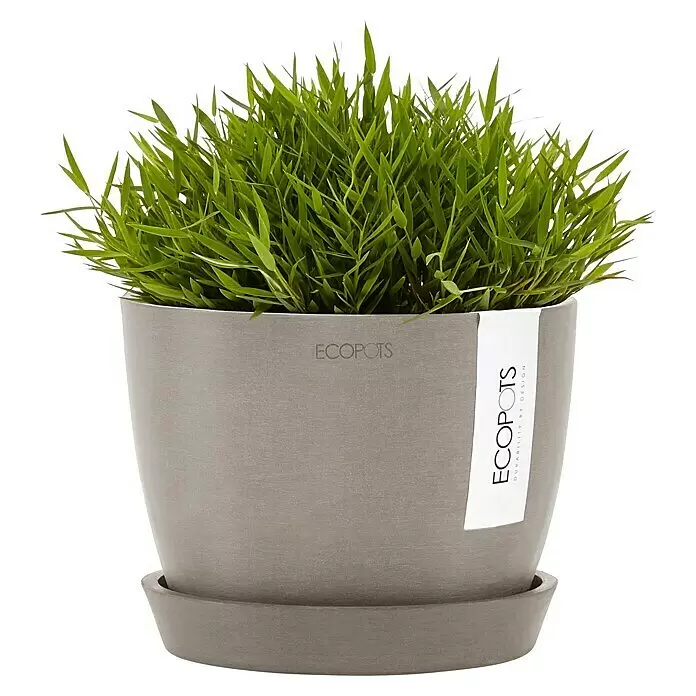 Ecopots Pflanztopf Stockholm - Auenma ( x H): 16,2 x 12 cm, Kunststoff,  Braungrau online kaufen bei BAUHAUS