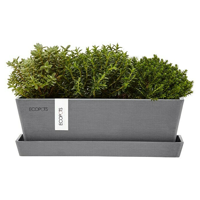 Ecopots Bruges Pflanzkasten Mini mit Untersetzer (Außenmaß (L x B x H): 25 x 9 x 8,4 cm, Kunststoff, Grau) | BAUHAUS