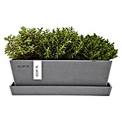 Ecopots Bruges Pflanzkasten Mini mit Untersetzer (Außenmaß (L x B x H): 25 x 9 x 8,4 cm, Kunststoff, Grau) | BAUHAUS