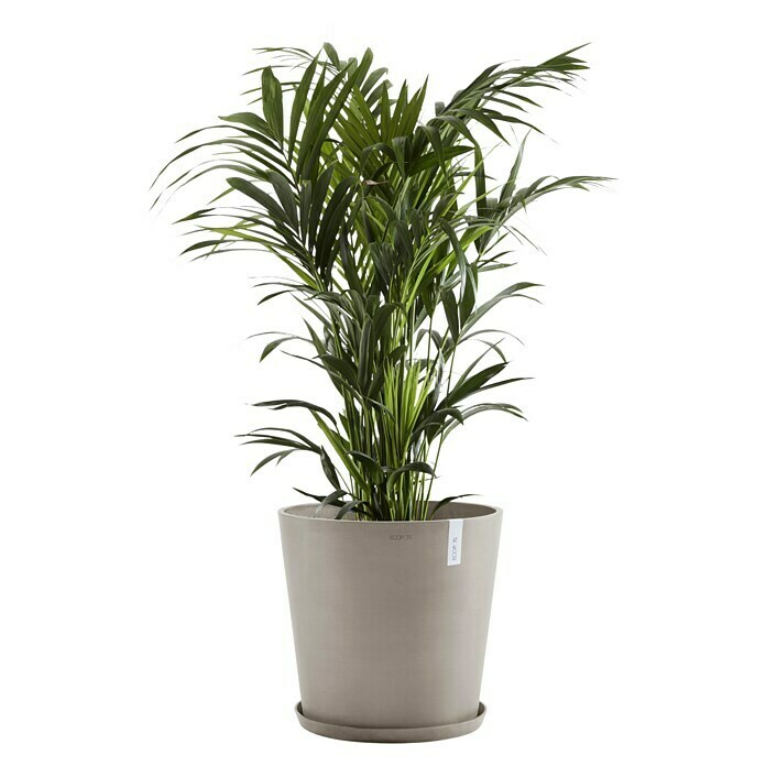 Ecopots Amsterdam Pflanzkübel rund (Außenmaß (Ø x H): 50 x 44,3 cm, Kunststoff, Braungrau, Mit Bewässerungssystem) | BAUHAUS