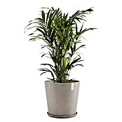 Ecopots Amsterdam Pflanzkübel rund (Außenmaß (Ø x H): 50 x 44,3 cm, Kunststoff, Braungrau, Mit Bewässerungssystem) | BAUHAUS