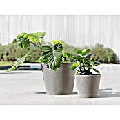 Ecopots Amsterdam Pflanzkübel rund (Außenmaß (Ø x H): 30 x 25,9 cm, Kunststoff, Braungrau, Mit Bewässerungssystem) | BAUHAUS