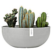 Ecopots Sofia Pflanzschale Groß (L x B x H: 43 x 25 x 17,5 cm, Weißgrau) | BAUHAUS