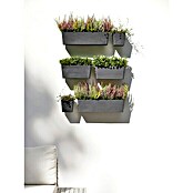 Ecopots Pflanzkasten Manhattan Wall (Außenmaß (L x B x H): 55 x 17,2 x 15 cm, Kunststoff, Dunkelgrau, L) | BAUHAUS