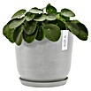 Ecopots Oslo Pflanztopf mit Wasserspeicher (Außenmaß (Ø x H): 25 x 21,4 cm, Kunststoff, Weißgrau) | BAUHAUS