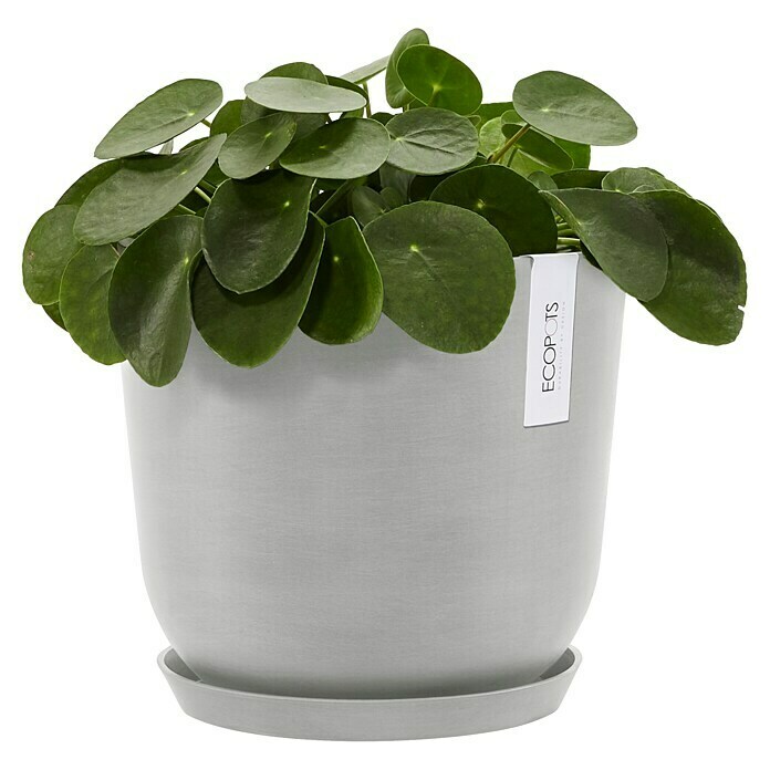 Ecopots Oslo Pflanztopf mit Wasserspeicher (Außenmaß (Ø x H): 25 x 21,4 cm, Kunststoff, Weißgrau) | BAUHAUS