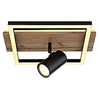Globo LED stropna svjetiljka Kassu (24 W, Topla bijela, Crna, smeđa, D x Š x V: 32 x 27 x 15 cm, 2 Kom.)