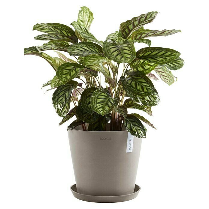 Ecopots Amsterdam Pflanzkübel rund (Außenmaß (Ø x H): 40 x 34,8 cm, Kunststoff, Braungrau, Mit Bewässerungssystem) | BAUHAUS