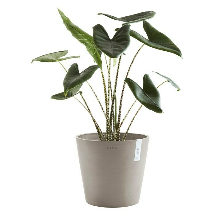 Ecopots Amsterdam Pflanzkübel rund (Außenmaß (Ø x H): 30 x 25,9 cm, Kunststoff, Braungrau, Mit Bewässerungssystem) | BAUHAUS
